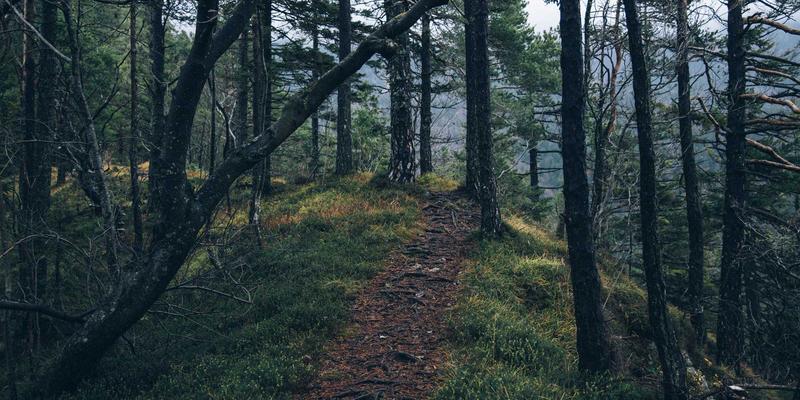 数据掘金：如何用大数据工具锁定海外爆款，打造跨境电商增长新引擎