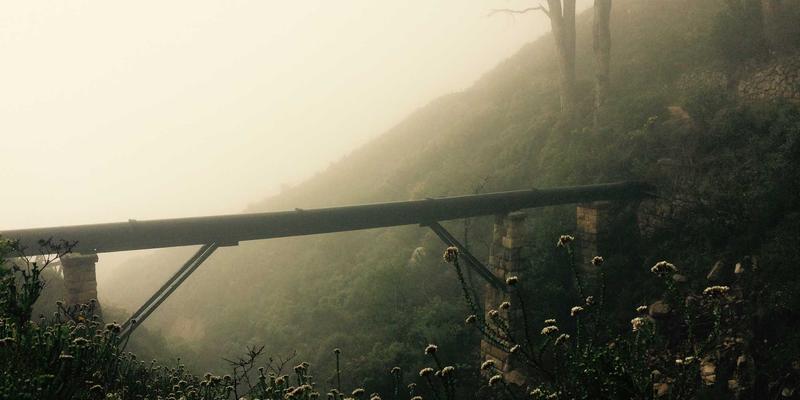 绿色包装：跨境电商降本增效新策略——如何通过环保设计降低欧盟EPR成本并赢得市场