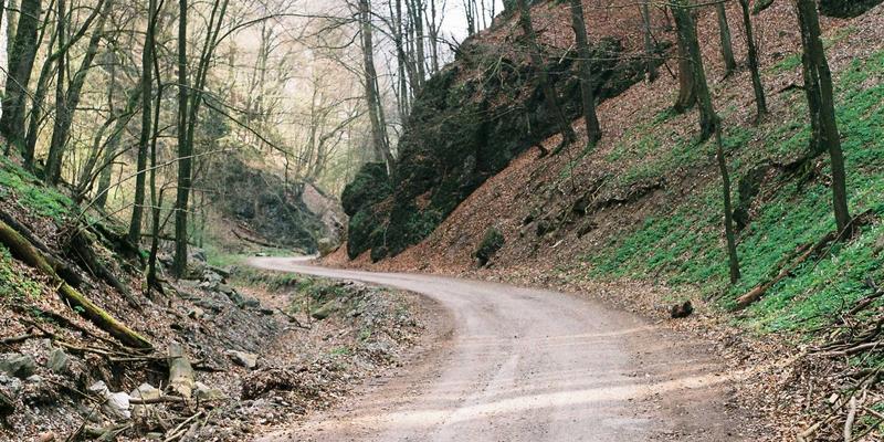 跨境电商品牌出海:如何借力海外仓与供应链,用内容营销赢得海外用户信任