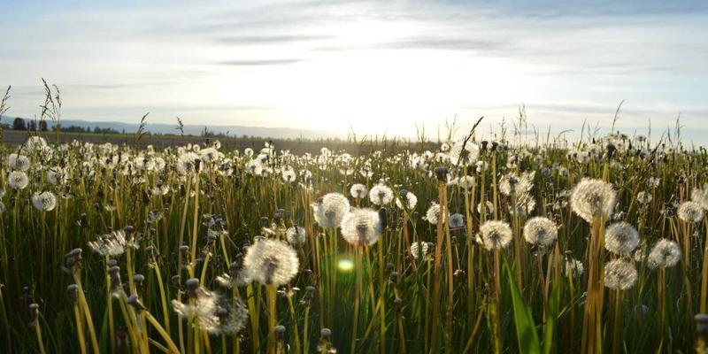 跨境电商订单管理破局：一招统一亚马逊、独立站与社媒店铺的订单与库存